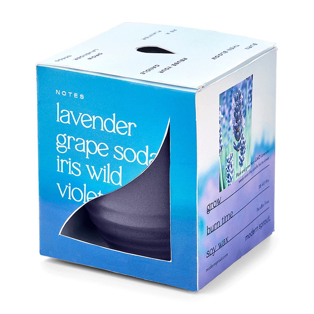 Modern Sprout Violet Hour/Lavender Garden Vibes Candle/Planter