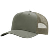 Color Loden