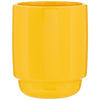 ETS Express Athletic Gold Olly 16oz Stackable Ceramic Mug