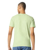 Gildan Unisex Pistachio Softstyle T-Shirt