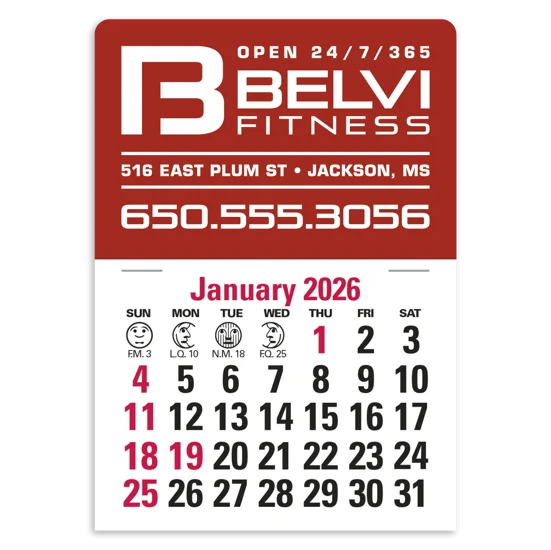 Triumph Calendars Silver Vinyl Press-N-Stick Standard Calendar