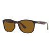 Ray-Ban Brown RB4374 Sunglasses