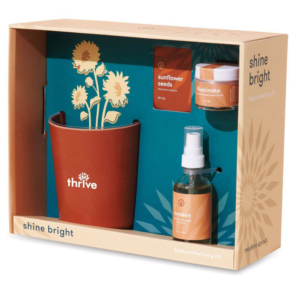 Modern Sprout Shine Bright Sunflower Shine Bright Take Care Kit - Sunflower