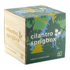 Sprigbox Wood Cilantro Grow Kit