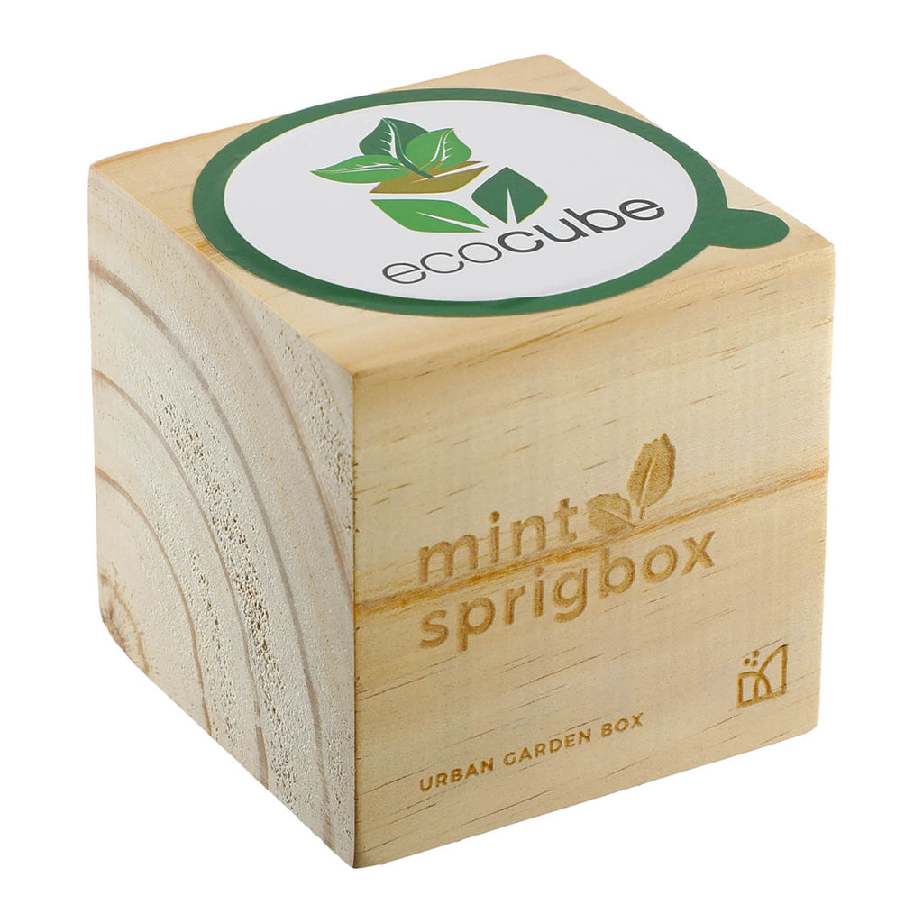 Sprigbox Wood Mint Grow Kit
