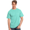 Hanes Unisex Clean Mint Authentic T-Shirt