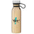 H2Go Gold Concord Bottle - 20.9oz