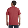 Comfort Colors Men's Brick 6.1 Oz. T-Shirt