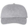 Champion Heather Oxford Grey Jersey Knit Dad Cap