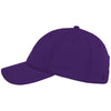 Ahead University Purple/University Purple Frio Cap