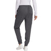 WonderWink Women's Pewter Premiere Flex Jogger Pant